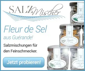 Blogbeitrag zur Salzmischer Optimierung