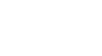 Kundenlogo in Weiß von der physiowerkstatt.